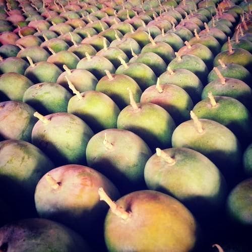 Fresh Alphonso Organic Mangoes